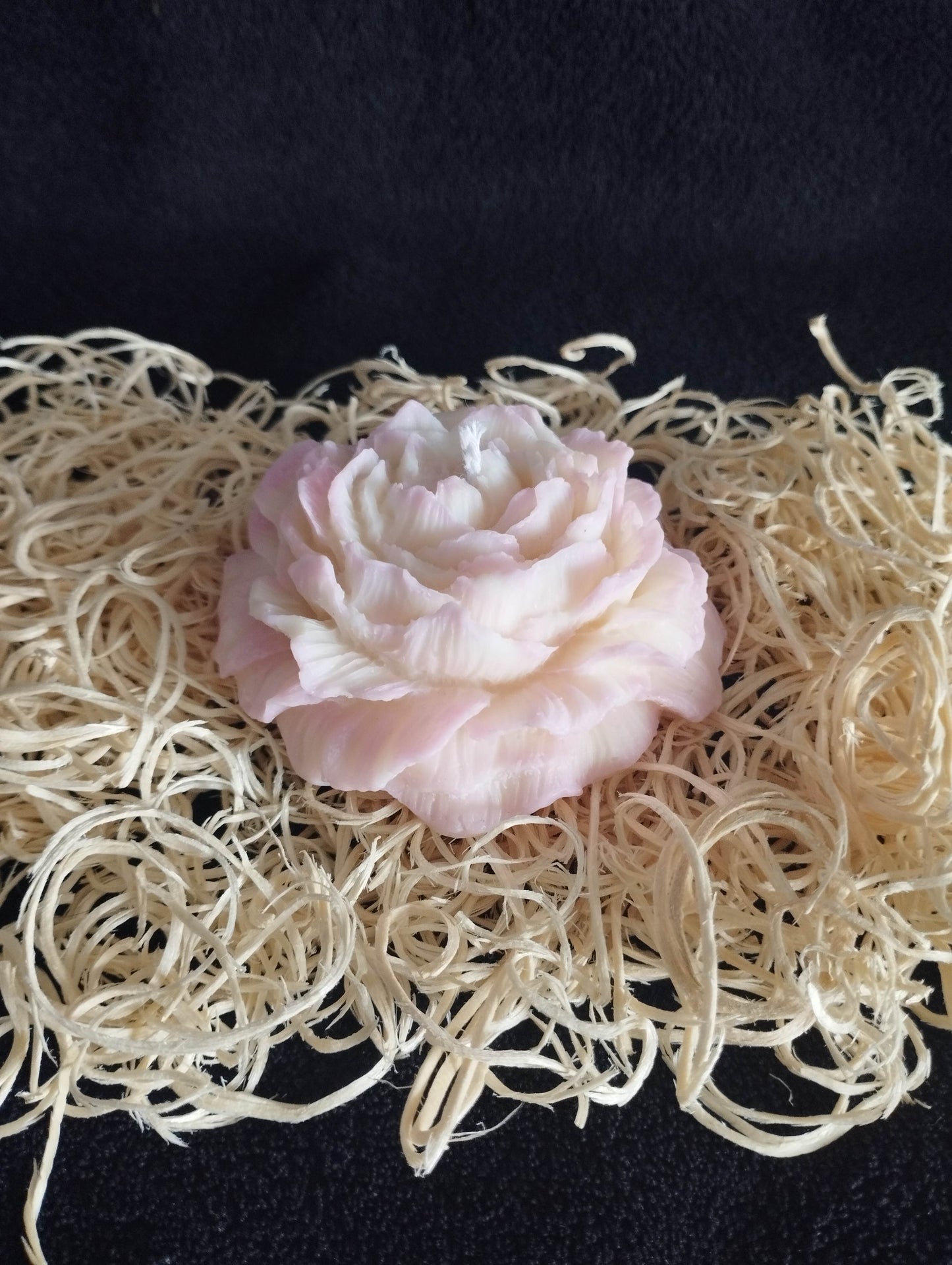 Bougie Pivoine